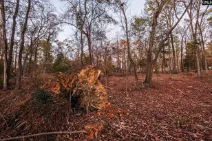 Green Meadow Dr, Chapin, SC 29036 - Photo 17