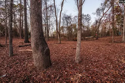 Green Meadow Drive #10, Chapin, SC 29036 - Photo 13