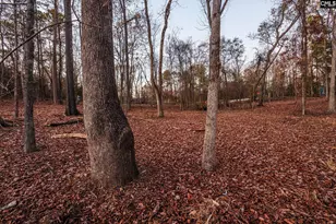 Green Meadow Dr, Chapin, SC 29036 - Photo 13