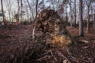 Green Meadow Dr, Chapin, SC 29036 - Photo 11