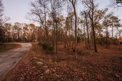 Green Meadow Drive #10, Chapin, SC 29036 - Photo 19
