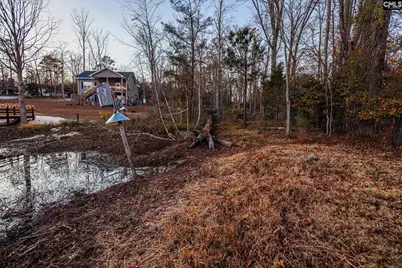 Green Meadow Drive #10, Chapin, SC 29036 - Photo 9