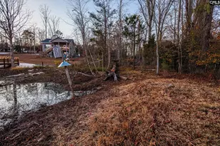 Green Meadow Dr, Chapin, SC 29036 - Photo 9