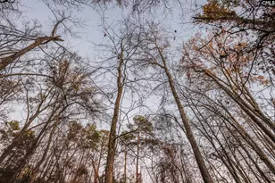 Green Meadow Dr, Chapin, SC 29036 - Photo 15