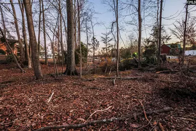 Shamrock Court #9, Chapin, SC 29036 - Photo 15