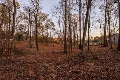 Shamrock Court #9, Chapin, SC 29036 - Photo 21