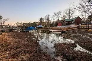 Shamrock Ct, Chapin, SC 29036 - Photo 11