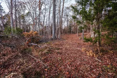 Shamrock Court #9, Chapin, SC 29036 - Photo 13