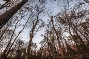 Shamrock Ct, Chapin, SC 29036 - Photo 17