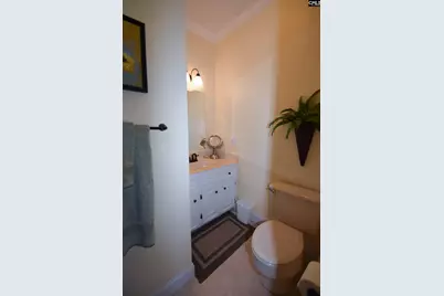 128 Cove Court, Irmo, SC 29063 - Photo 61