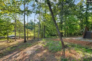 110 Keck&apos S Cove Rd, Leesville, SC 29070 - Photo 39