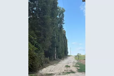 320 Southland Road, Gilbert, SC 29054 - Photo 17