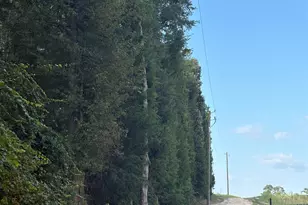 320 Southland Rd, Gilbert, SC 29054 - Photo 17