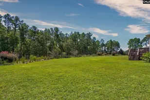 74 Lillifield Dr, Elgin, SC 29045 - Photo 29