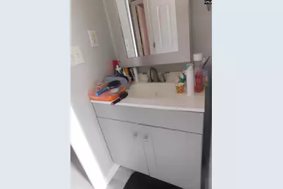 158 Macedon Drive, Lexington, SC 29073 - Photo 19