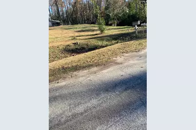 00 Olive Branch Terrace, Batesburg, SC 29006 - Photo 3