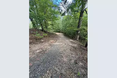 80 Valley 1 Drive, Ridgeway, SC 29180 - Photo 3