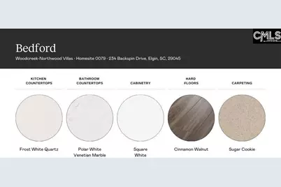 234 Backspin Drive, Elgin, SC 29045 - Photo 3