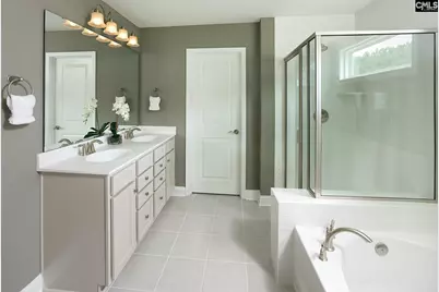 149 Monroe Preserve Drive, Chapin, SC 29036 - Photo 3