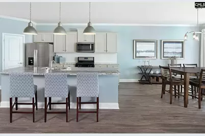 149 Monroe Preserve Drive, Chapin, SC 29036 - Photo 5