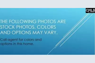 145 Monroe Preserve Drive, Chapin, SC 29036 - Photo 11