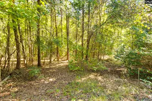 420 S Church St, Lexington, SC 29072 - Photo 27