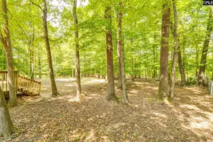 88 Running Deer Rd, Blythewood, SC 29016 - Photo 33