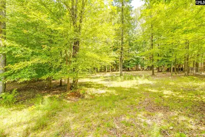 88 Running Deer Road, Blythewood, SC 29016 - Photo 35