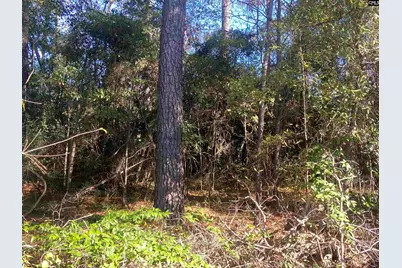 2493 Main Street, Elgin, SC 29045 - Photo 13