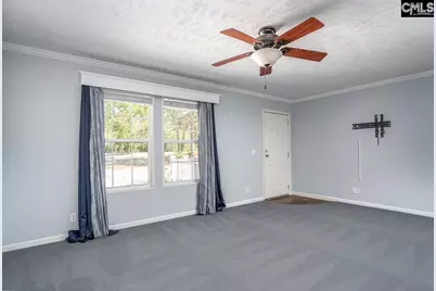 271 Leaning Tree Road, Pelion, SC 29123 - Photo 7