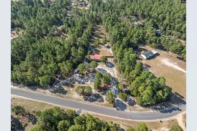 271 Leaning Tree Road, Pelion, SC 29123 - Photo 5