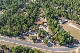 271 Leaning Tree Rd, Pelion, SC 29123 - Photo 5