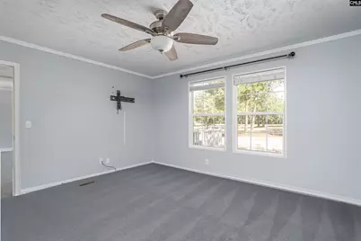 271 Leaning Tree Road, Pelion, SC 29123 - Photo 15