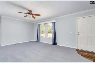 271 Leaning Tree Road, Pelion, SC 29123 - Photo 11