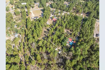 271 Leaning Tree Road, Pelion, SC 29123 - Photo 39