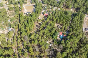 271 Leaning Tree Rd, Pelion, SC 29123 - Photo 39