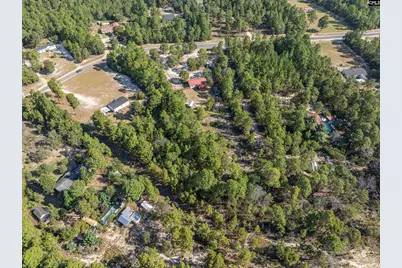 271 Leaning Tree Road, Pelion, SC 29123 - Photo 37