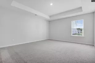 308 Star Capital Way, Pelion, SC 29123 - Photo 11