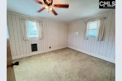 220 Old Cedar Point, Chapin, SC 29036 - Photo 19