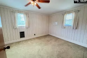 220 Old Cedar Point, Chapin, SC 29036 - Photo 19