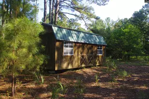 243 Bridalwreath Dr, Saint Matthews, SC 29135 - Photo 19