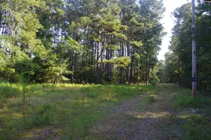 243 Bridalwreath Dr, Saint Matthews, SC 29135 - Photo 15