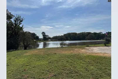 303 Nell Street, Batesburg, SC 29006 - Photo 5