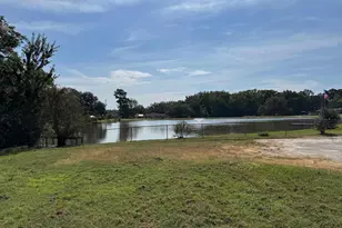 303 Nell St, Batesburg, SC 29006 - Photo 5