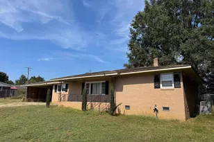 303 Nell St, Batesburg, SC 29006 - Photo 3