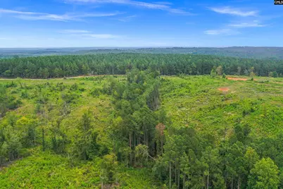 0000 Penner Road 8 #8, Jenkinsville, SC 29065 - Photo 41