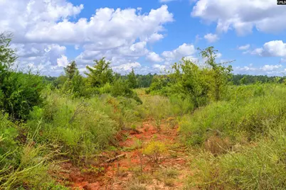 0000 Penner Road 8 #8, Jenkinsville, SC 29065 - Photo 23