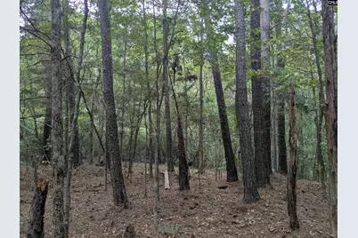 1236 Newberry Road, Winnsboro, SC 29180 - Photo 25