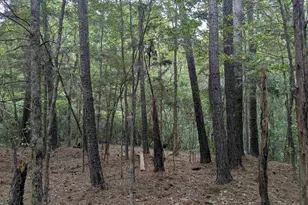 1236 Newberry Rd, Winnsboro, SC 29180 - Photo 25