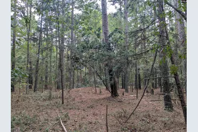 1236 Newberry Road, Winnsboro, SC 29180 - Photo 19